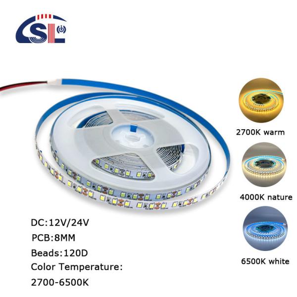 Epistar Customized 8mm 120leds Red Die-Cutting Board SMD2835 Led Strip Light for Outdoor and Indoor Decoration