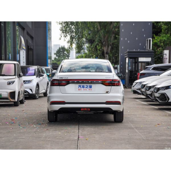 Electromagnetic Braking System Dongfeng Venucia D60EV 2023 Plus Comfort Si Electric Car