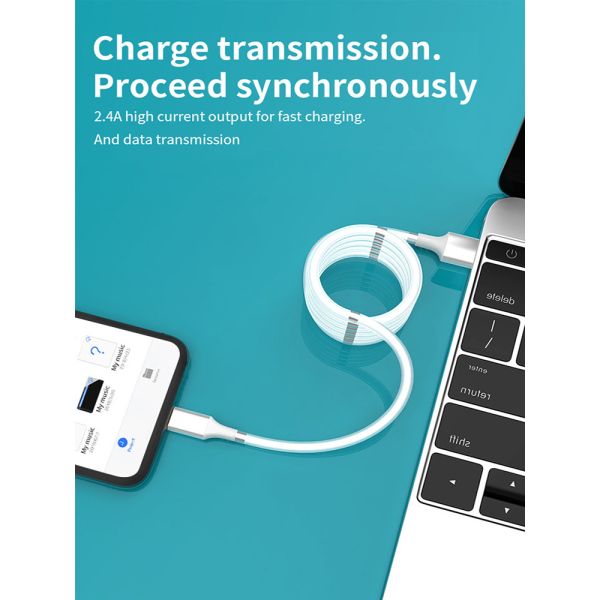 Fast Charging 2.4A USB 2.0 Type C Cable 3ft USB C Magnetic Data Cable