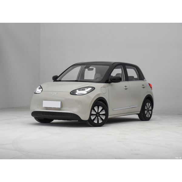 2023 Wuling Bingo Mini EV CLTC 333km Five-Door Four-Seat Energy Small Pure Electric Car
