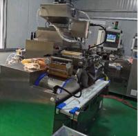 Aceite de pescado de la máquina de la encapsulación de 3.5RPM Softgel y pegar el relleno 120000 Pcs/H