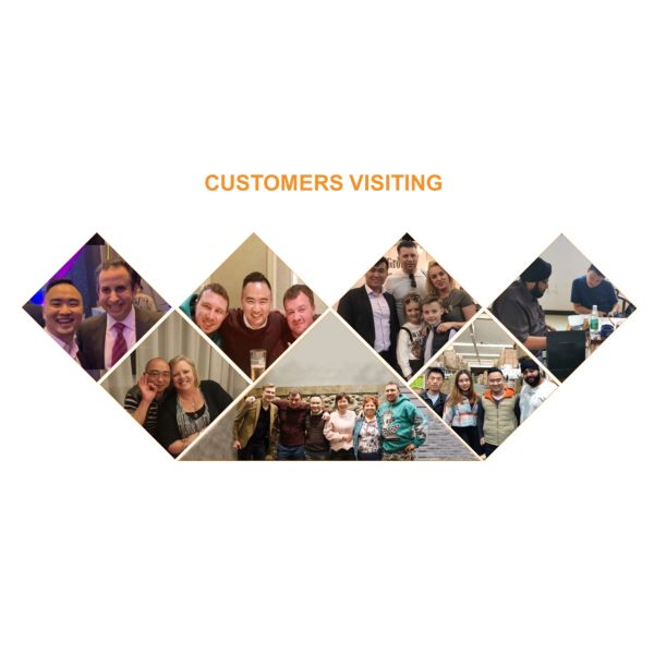 Eco Friendly Soft Long Plush Pet Sleep Bed Felt Sponge For Large Small Kittens