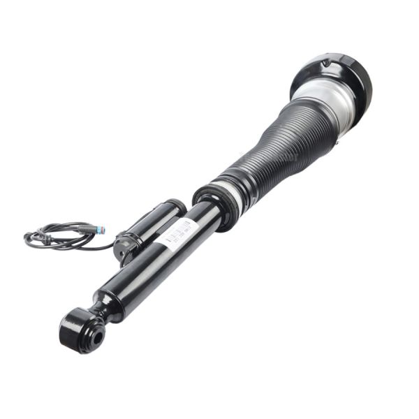 2213205513 Replaced Shock Absorber Mercedes Benz Rear 2007-2012