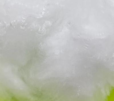1.2D High-Quality Antibacterial Anti-Bacterial PP/PE Bicomponent Es Polyester Staple Fiber