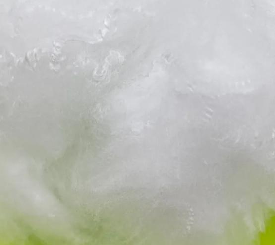 1.2D High-Quality Antibacterial Anti-Bacterial PP/PE Bicomponent Es Polyester Staple Fiber