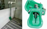 KXD Porc en acier inoxydable Tissus buveur équipement de porcherie Installation rapide