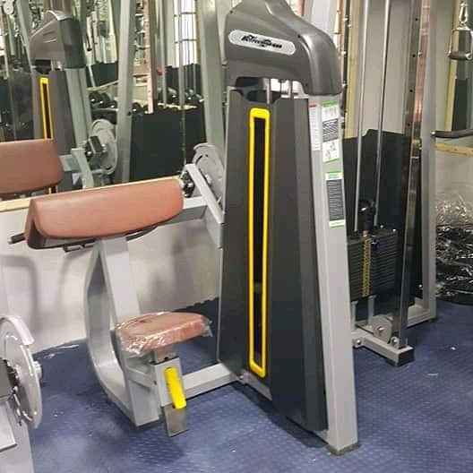 Commercial Medium Loader Indoor Camber Curl with 80kg Weight Stacks 1380*930*1580