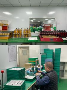 Guangzhou GT Watch Co., Ltd.