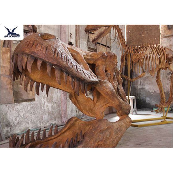 Decorative High Simulation Dinosaur Skeleton Replica Lifelike Dinosaur Skeleton