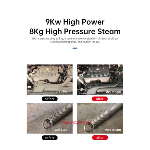 220v 380v Customized 16L Stainless Steel Tank Steam Carpet Cleaner Household Electric Steam Cleaner Sofa Cleaning Machine