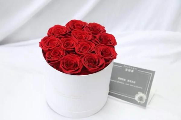 Ecuador preserved fresh roses long lasting high end rose buds for flower box gift