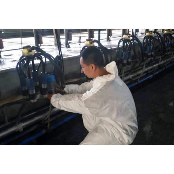 Pneumatically Drive Ratio 60/40 Small Scale Milking Parlour For Dairy Farm