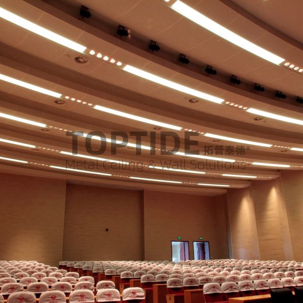 Interior Exterior 4.0mm Curved Acoustic Ceiling Board Cloud Ceiling Panels