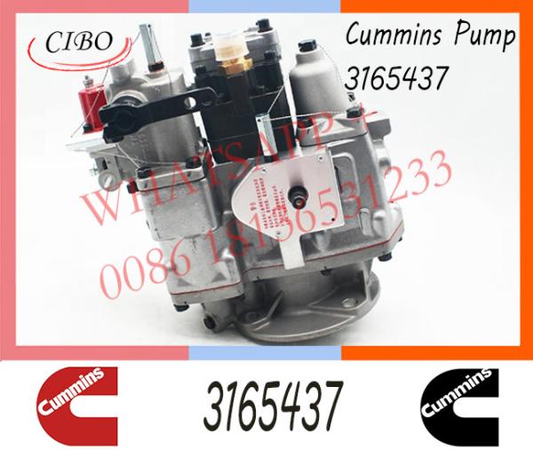 Diesel NT855-C280 Engine Parts For Truck Car PT Pump 3165437 3165468 3165621 3165655