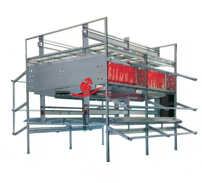 3 Tiers Welfare Cage Free System Of Sufficient Activity Platform For Layers