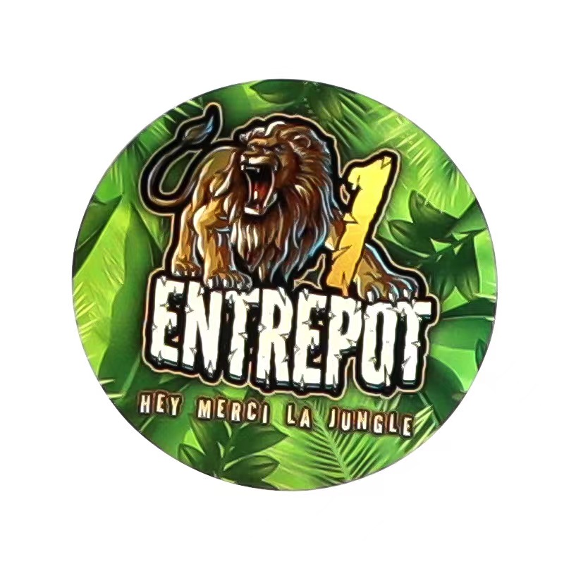 3D голографические наклейки на печати водонепроницаемые многоразовые катумизированные размеры