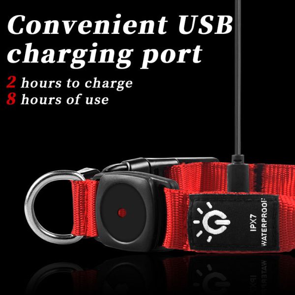 Collar para perros LED Inodoro Perros medianos y grandes Portador de AirTag Flash Light Up Diseño de logotipo personalizado