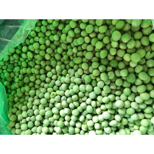 Fresh New Crop IQF Forzen Green Peas