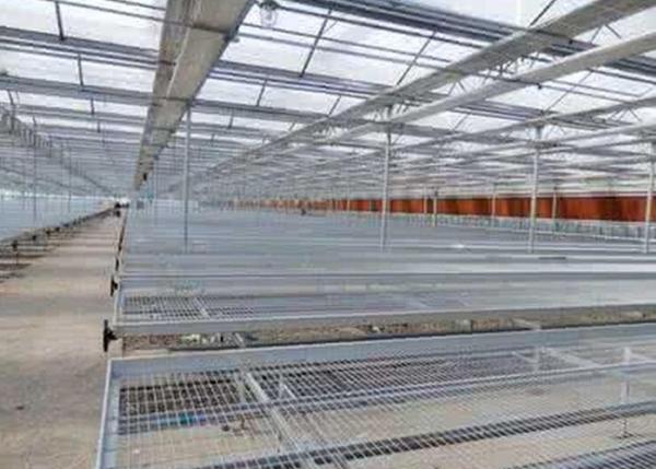 Easily Assembled Welded Wire Mesh Panels Square Hole For Greenhouse Bed Nets