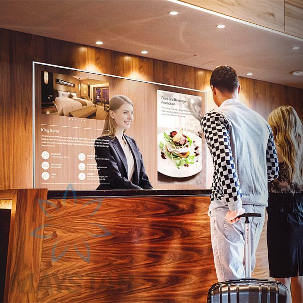 Home Use Transparent OLED Screen , Double Sided Micro OLED Display