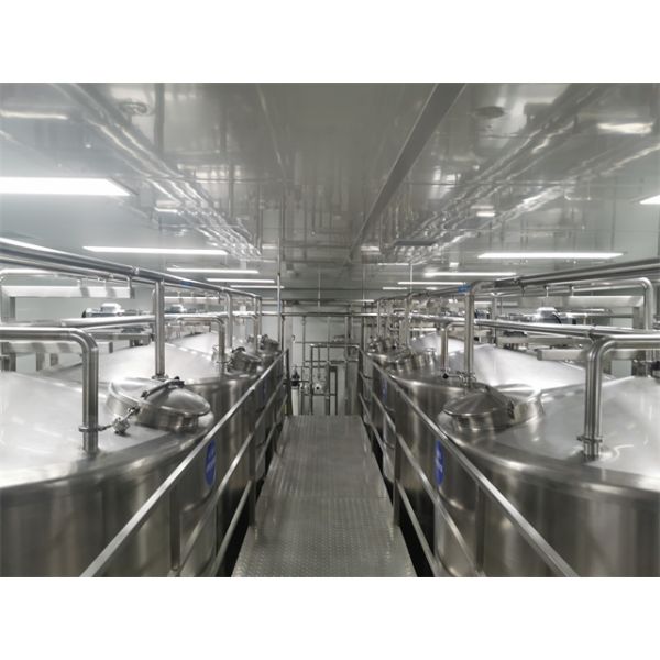 2000KG Seedless Mango Juice Processing Plant Automatic 75kw