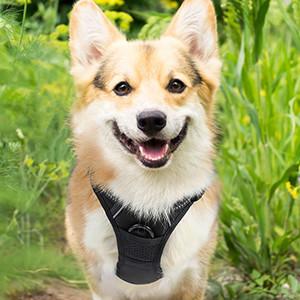 Custom No Pull Pet Harness vest Reflective Tactical Breathable S M L For puppy