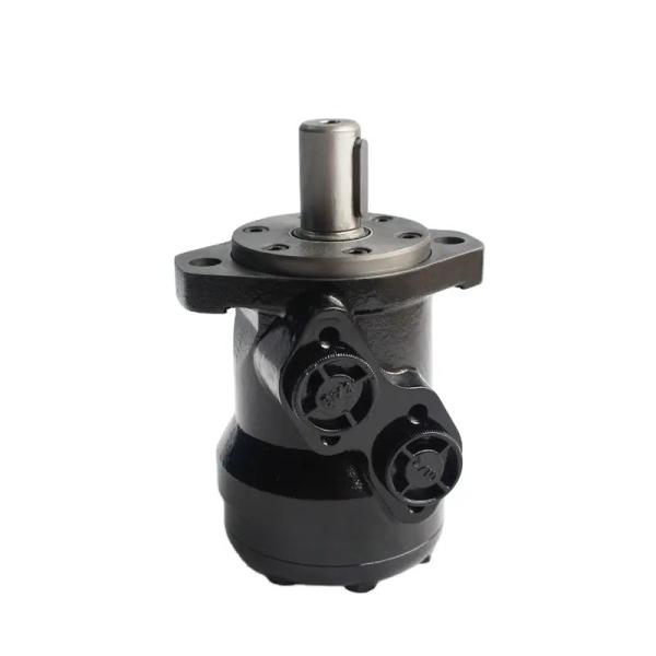High Torque DANFOSS Hydraulic Cycloidal Motors OMR315 151-0246 OMR125 151-0713 Orbital Motor