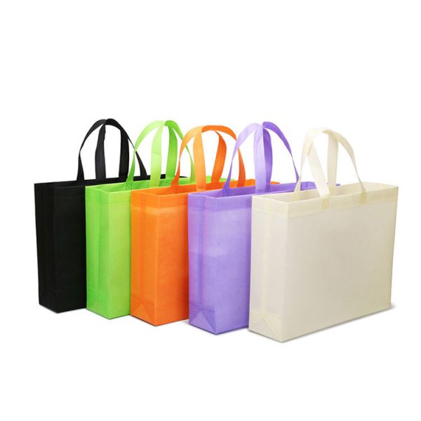 Gift PP Non Woven Decorative Reusable Laminated Shopping Bag