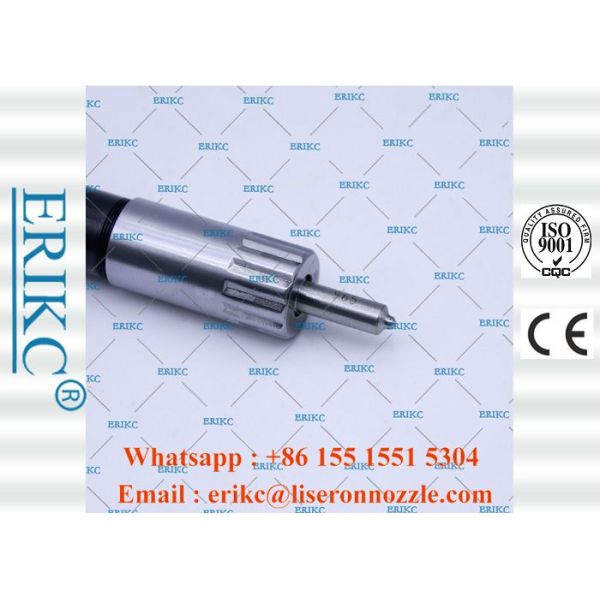 Erikc Oil Injector Denso Diesel  095000 6701  Fuel Injector Assembly  R61540080017a