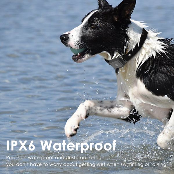New Arrival Real-Time GPS Pet Tracker 4G Smart Collar App for Cats Dogs IPx6 Waterproof >20h Battery Voice Calls Compatible