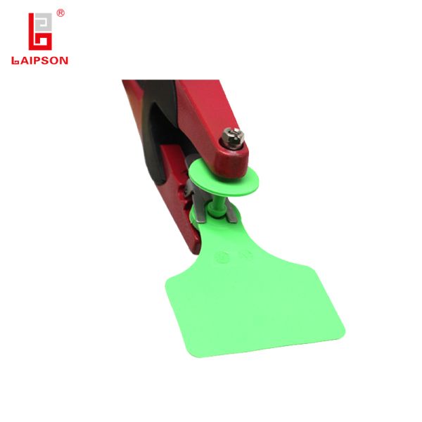 Versatile Cattle Ear Tags Suitable for on Cattle Sheep Goats Camels Horses and Buffalo for Comprehensive Identification