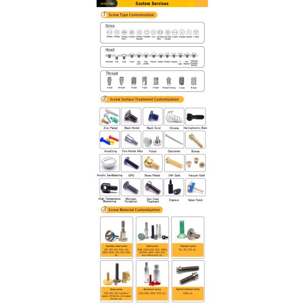 Stainless Steel Black Oxide Torx PT Thread Mini Screw for Plastic