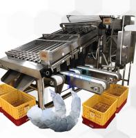 Máquina de classificação de camarão para processamento de frutos do mar 6000x3200x2200mm estável
