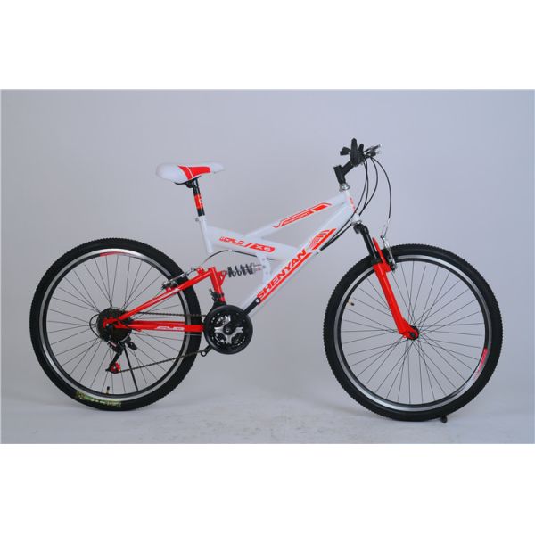 Cheap price OEM customized logo 21 speed hi ten steel mountain bike for travel with dual suspension