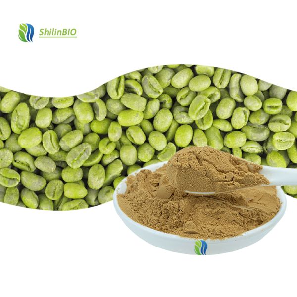 High Quality Green Coffee Bean Extract Powder 50% Chlorogenic Acid