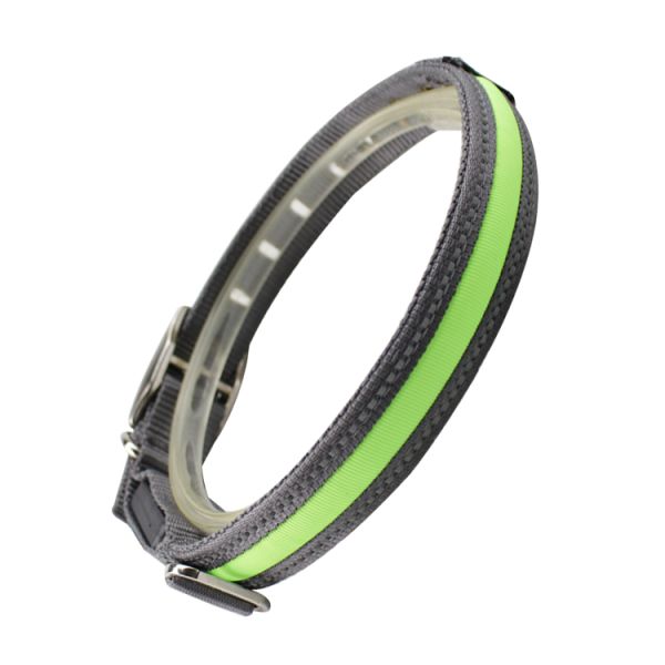 Christmas LED Dog Collar / Dog Training Collar Dog Leashes And Collars