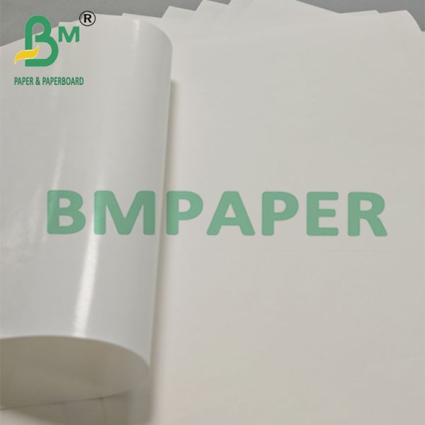 370 x 500mm Smooth Surface Bleached Pe Coated Paper For Gift Bag