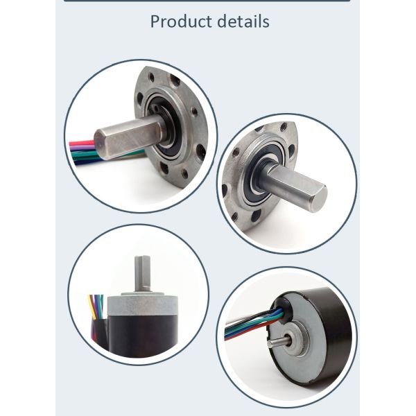 20RPM 36mm DC Brushless Gear Motor Bldc Robot Head Arm High Torque