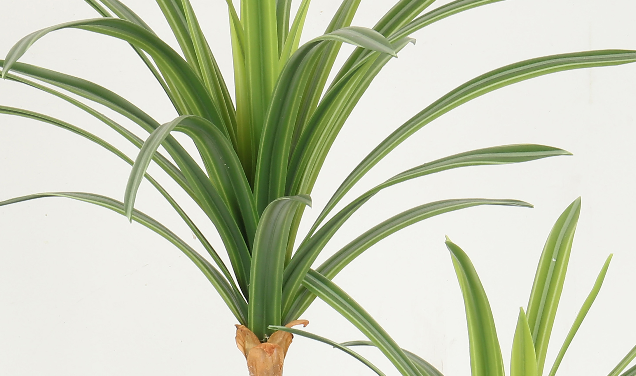 СМ СМ 68 СМ 50 завода 38 Дракаэна черного пластикового Фаукс бака в горшке для домашнего оформления