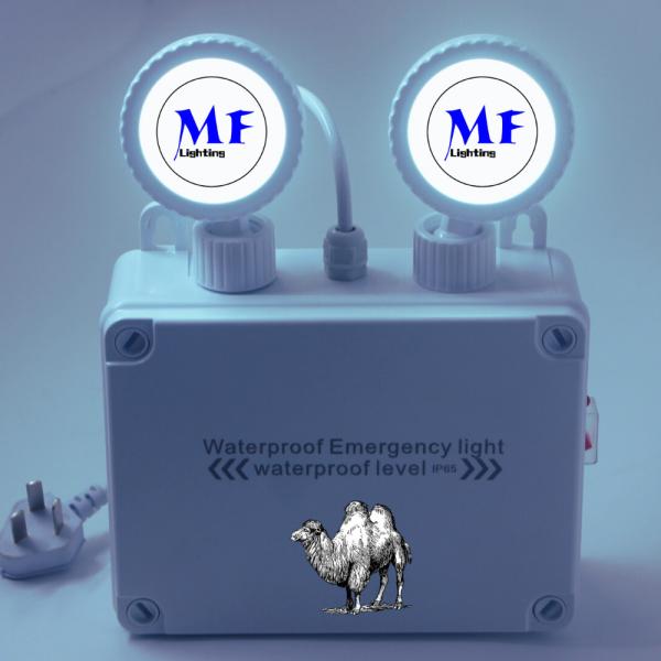 Double Head Waterproof IP65 Outdoor Indoor Long Duration Time Rechargeable Non Maintained Rechargeable Battery Warmming Exit Sigh LED Emergency Light For Office
