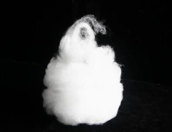 Fibre de nylon 6 blanc brut recyclée