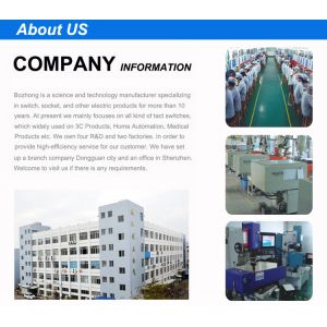 ZHEJIANG BOZHONG ELECTRIC CO., LTD