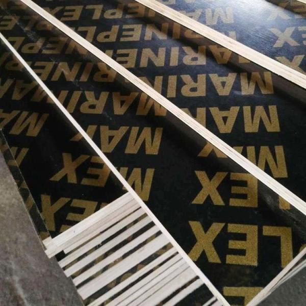 Shuttering Beam Poplar Plywood Sheets For Building Model With Letters