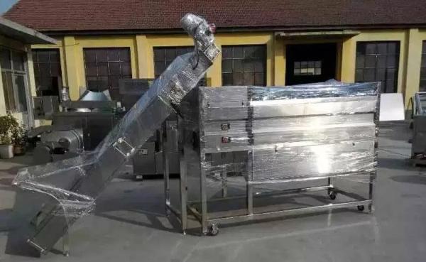 Screw Feeding Type Potato Washing Peeling Machine