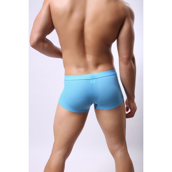 Breathable Mesh Seamless Boxer Briefs Sexy Customized Men'S Boxers Underwear