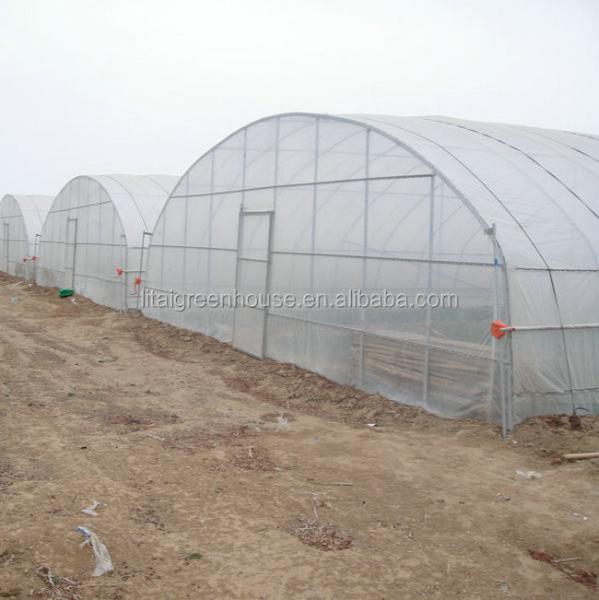 Stable Structure Tunnel Greenhouse for Vegetable Fruits Flowers in Ghana Easy Assembly