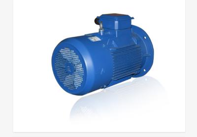 AC Electric Vibration Motors Capacity 0.75/1.1/1.5/2.2/3/4/5.5/7.5/11/15/22/30/37/45/55/75kw 600-2980rpm