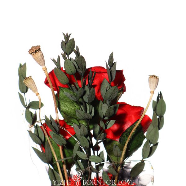 Los regalos para los amantes calientes venden rosas eternas preservaron las flores en los regalos del día de tarjeta del día de San Valentín para el día de la Navidad y de madre