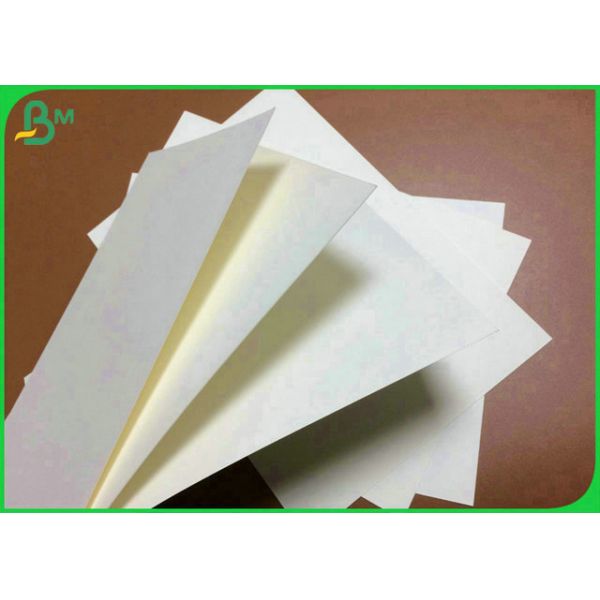 90% 800mm 900mm Whiteness 190g 210g 250g Food Grade Ivory Board For Food Box 90% 800mm 900mm Whiteness 190g 210g 250g Food Grade Ivory Board For Food Box