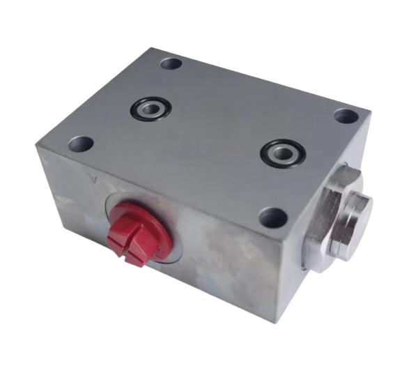 1010300782 1010300283 Zoomlion Crane Parts Insertion Bidirectional Hydraulic Lock / Buch DERV8-B